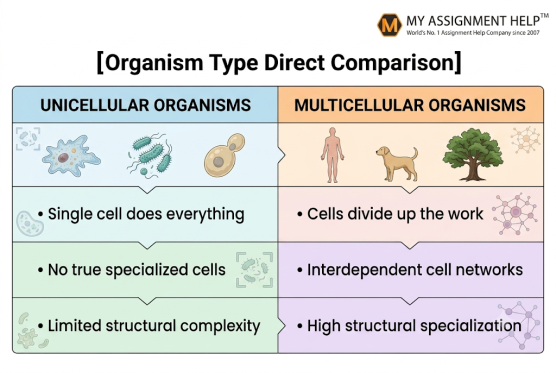 Organisms have two types: Unicellular and multicellular