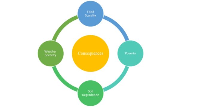 The Consequences of Climate Change