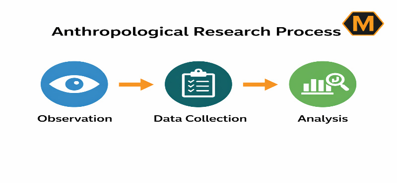 Anthropological research process showing observation, data collection, and analysis steps