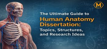 human anatomy dissertation topics guide with muscular system illustration for medical students