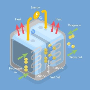 Diagram of a hydrogen fuel cell showing how hydrogen enters the anode and oxygen enters the cathode, producing water, heat, and electrical energy as electrons flow through an external circuit.