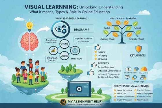 online visual learning 