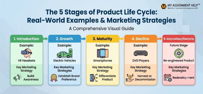 An infographic illustrating the 5 stages of the product life cycle, featuring the "My Assignment Help" logo in the top-right corner.